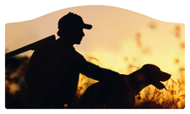 DASHELL-311 Gone Hunting (Dog)